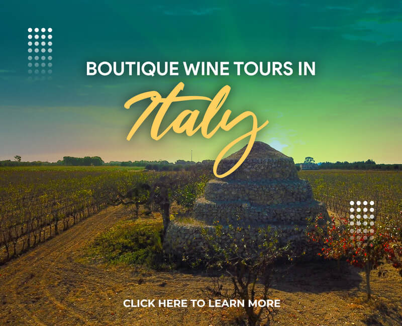 Best Wine Tours in Italy